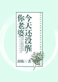 【资源】《你老婆今天还没醒》作者：辞陈【完结】