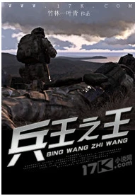 【资源】《兵王之王》作者：竹林一叶青【完结】