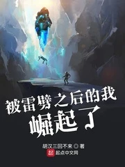 【资源】《被雷劈之后的我崛起了》作者：胡汉三回不来【完结】