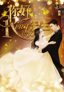 【资源】《你好，King先生》作者：锦凰【完结+番外】