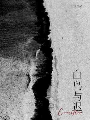 【资源】《白鸟与迟》作者：三至【CP完结】
