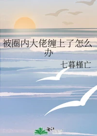 【资源】《被圈内大佬缠上了怎么办》作者：七暮槿亡【完结】