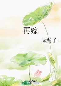 【资源】《再嫁》作者：垂香/金铃子【完结+番外】