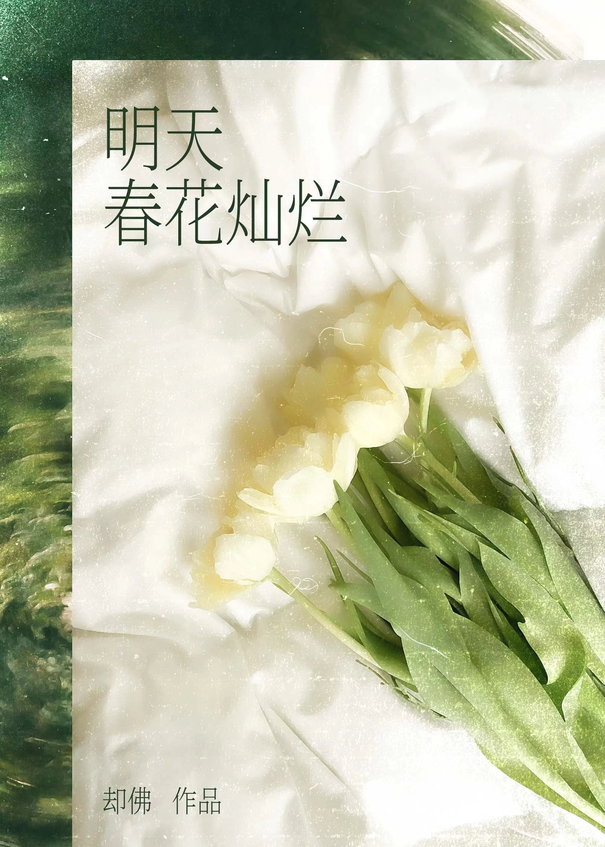 【资源】《明天春花灿烂》作者：却佛【完结】