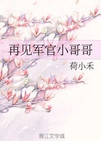 【资源】《再见军官小哥哥》作者：荷小禾【完结】