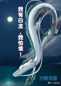 【资源】《我有白龙，我怕谁！》作者：月藏海雾【完结】