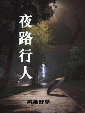 【资源】《夜路行人》作者：风拾野草【CP完结】