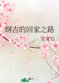 【资源】《（综漫同人）纲吉的回家之路》作者：灵文石【完结】