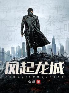 【资源】《风起龙城》作者：伪戒【完结】