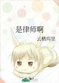 【资源】《是律师啊》作者：云栖坞里【第一季完结】