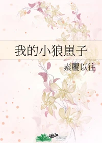 【资源】《我的小狼崽子》作者：素履以往【完结】