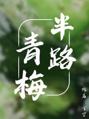 【资源】《半路青梅》作者：言它【CP完结+番外】