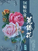 【资源】《（综同人）钢筋铁骨菟丝花》作者：简梨【完结+番外】