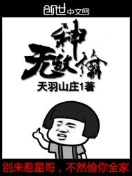 【资源】《无敌神偷》作者：天羽山庄1【完结】