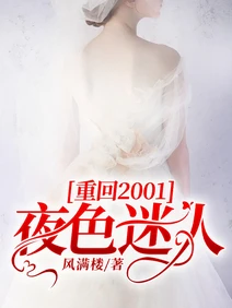 【资源】《重回2001：夜色迷人》作者：风满楼【完结】