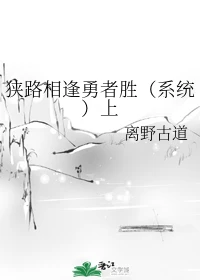 【资源】《狭路相逢勇者胜（系统）上》作者：离野古道【完结】