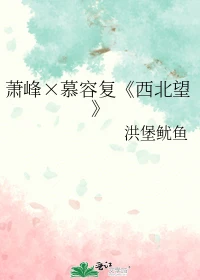 【资源】《（天龙八部同人）萧峰×慕容复《西北望》》作者：洪堡鱿鱼/manguinette【完结】