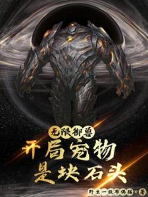 【资源】《无限御兽：开局宠物是块石头》作者：野生一级布偶猫【完结】