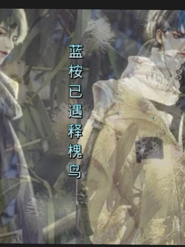 【资源】《蓝桉已遇释槐鸟》作者：萌了个友/萌1996【完结+番外】