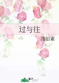 【资源】《（黑花同人）过与往》作者：凌如素/凌如素、初【完结】
