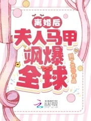 【资源】《离婚后夫人马甲飒爆全球》作者：别丁兰【完结】