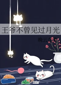 【资源】《王爷不曾见过月光》作者：晚云在笑【完结】