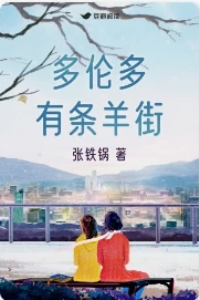 【资源】《多伦多有条羊街》作者：张铁锅【完结】
