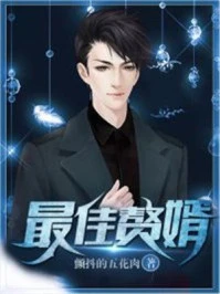 【资源】《最佳赘婿/大丈夫的咸鱼生活》作者：颤抖的五花肉【完结】
