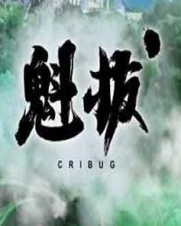 【资源】《（魁拔同人）魁拔之织星》作者：小若稚【完结】