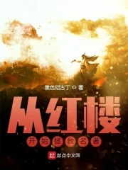 【资源】《从红楼开始拯救名著》作者：黑色尼古丁【完结】
