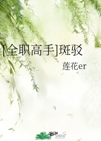 【资源】《（全职同人）[全职高手]斑驳》作者：莲花er【完结】