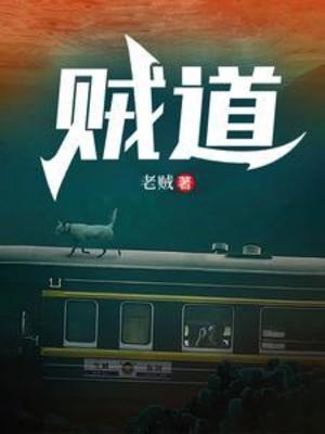 【资源】《贼道》作者：向北【完结】