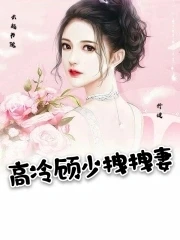 【资源】《高冷顾少拽拽妻》作者：抒捷【完结】