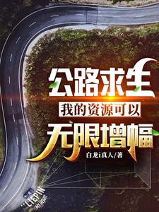 【资源】《公路求生：我的资源可以无限增幅》作者：白龙i真人【完结】
