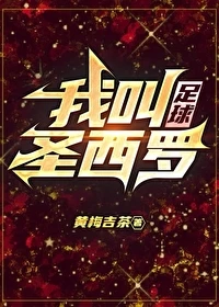 【资源】《（足球同人）我叫圣西罗[足球]》作者：黄梅吉茶【完结】