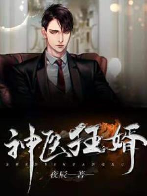 【资源】《神医狂婿》作者：夜辰【完结】