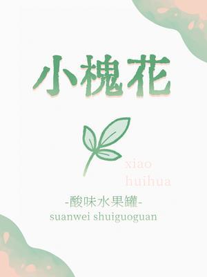 【资源】《小槐花》作者：酸味水果罐【CP完结】