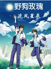 【资源】《野狗玫瑰》作者：流风星辰【CP完结+番外】