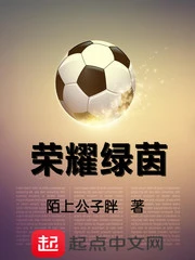 【资源】《荣耀绿茵》作者：陌上公子胖【完结】