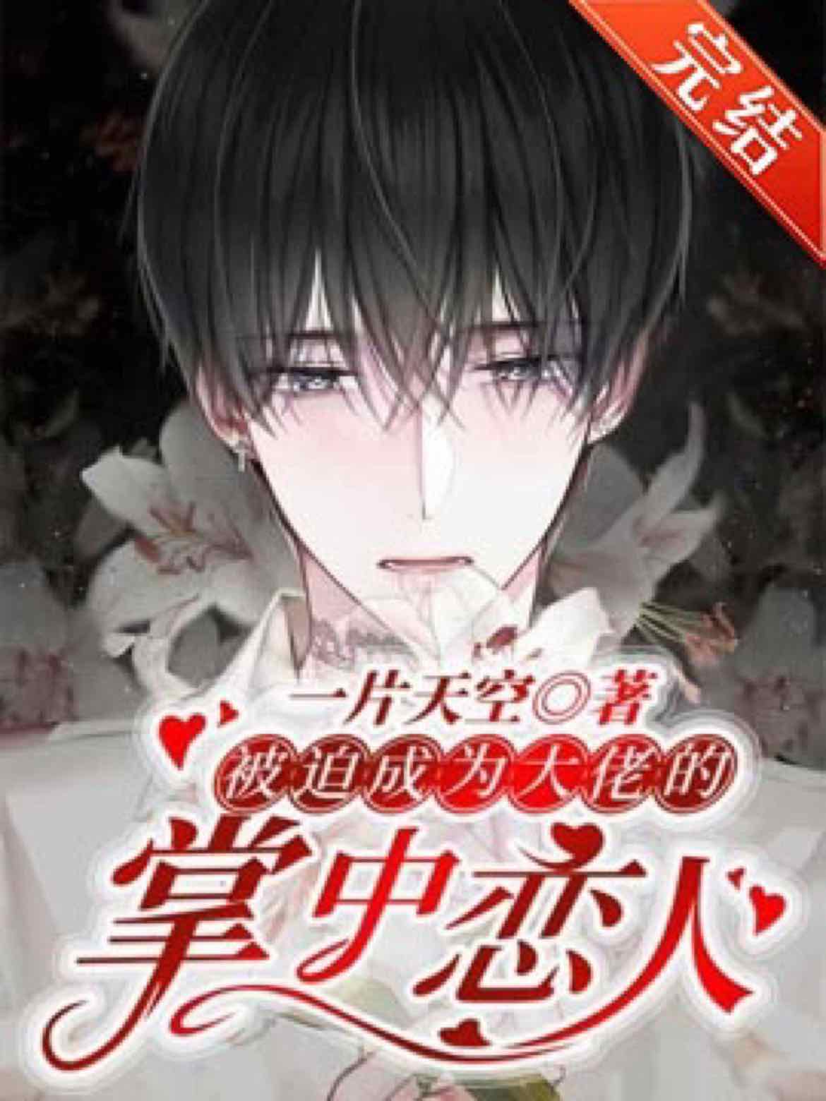 【资源】《被迫成为大佬的掌中恋人》作者：一片天空【完结+番外】