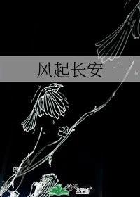 【资源】《风起长安》作者：于欢【完结】