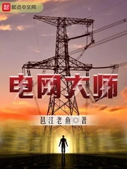 【资源】《电网大师》作者：琶江老鱼【完结】
