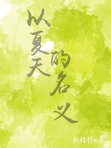 【资源】《以夏天的名义》作者：折枝桂w【完结+番外】