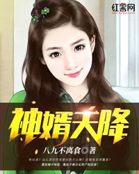 【资源】《神婿天降》作者：八九不离食【完结】