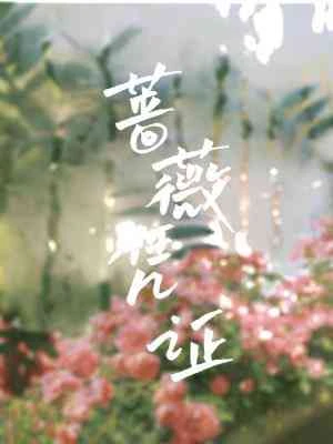 【资源】《蔷薇凭证》作者：博尔赫叁【CP完结】
