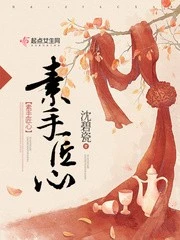 【资源】《素手匠心》作者：沈碧瓷【完结】