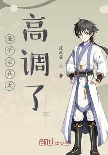 【资源】《圣子实在太高调了》作者：流风笑【完结】