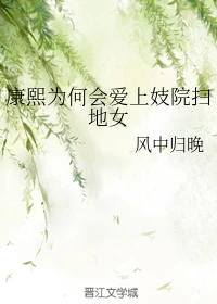 【资源】《康熙为何会爱上妓院扫地女》作者：风中归晚【完结】
