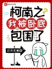 【资源】《（柯南同人）柯南之我被卧底包围了》作者：已灭无常【完结+番外】