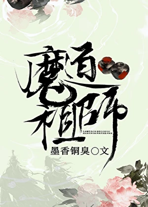 《魔道祖师》作者：墨香铜臭【完结】